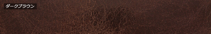 レディース革ベルト・ファッションベルト　アンティークゴールドバックル＆ツヤ・シワ加工革ベルト　ダークブラウン　帯画像